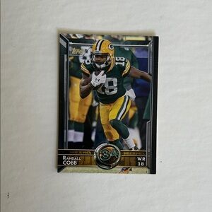 Randall Cobb Green Bay Packers Football Card